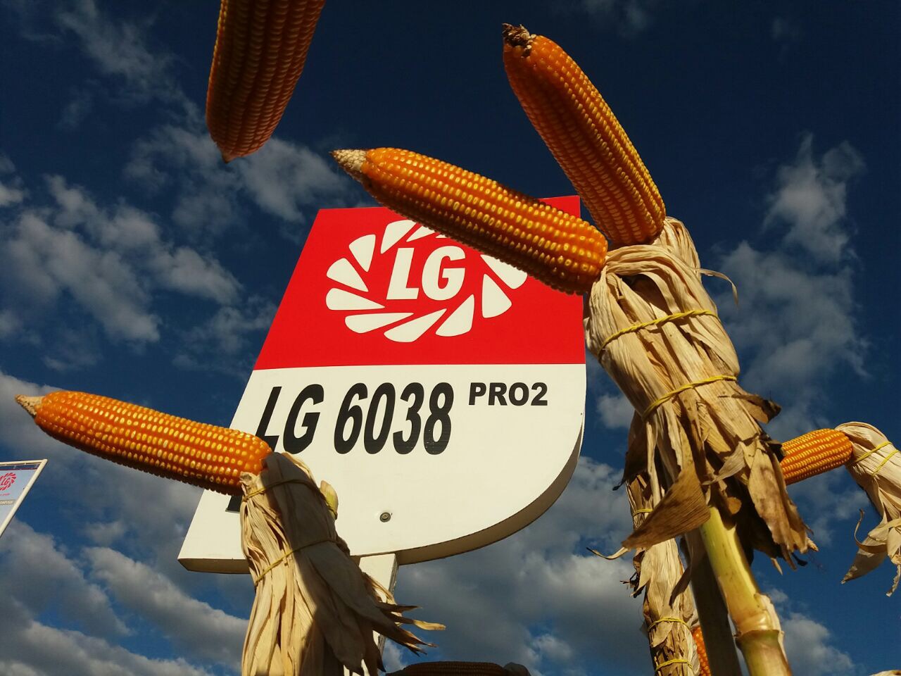 Dia de Campo em Montividiu-GO