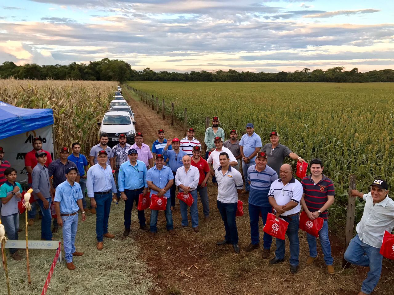 Rota do Milho - Goiás