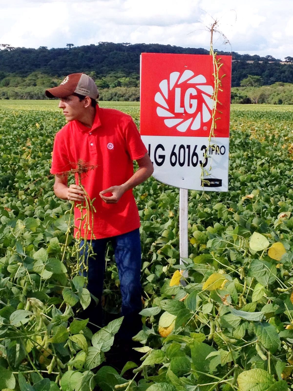 LG Sementes promove Tour no Paraná