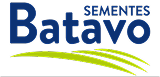 Batavo Sementes