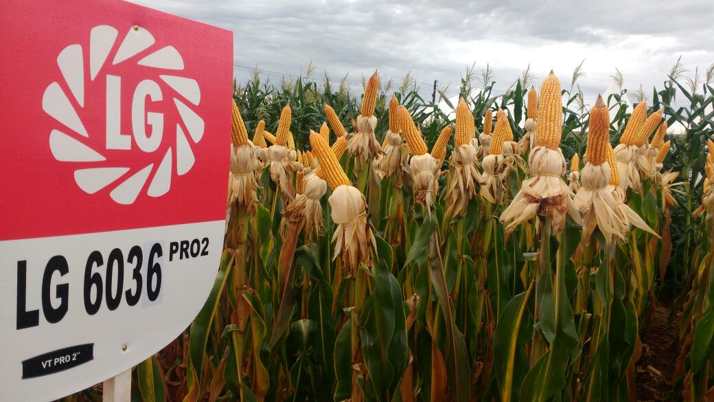 LG Sementes participou do Itaipu Rural Show 2017