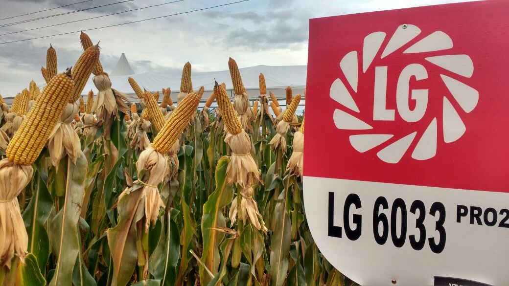 LG Sementes participou do Itaipu Rural Show 2017