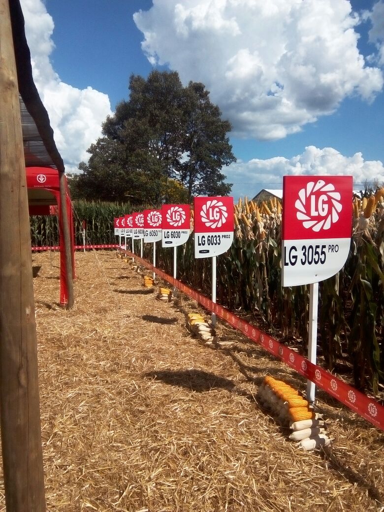 LG Sementes participou do Itaipu Rural Show 2017