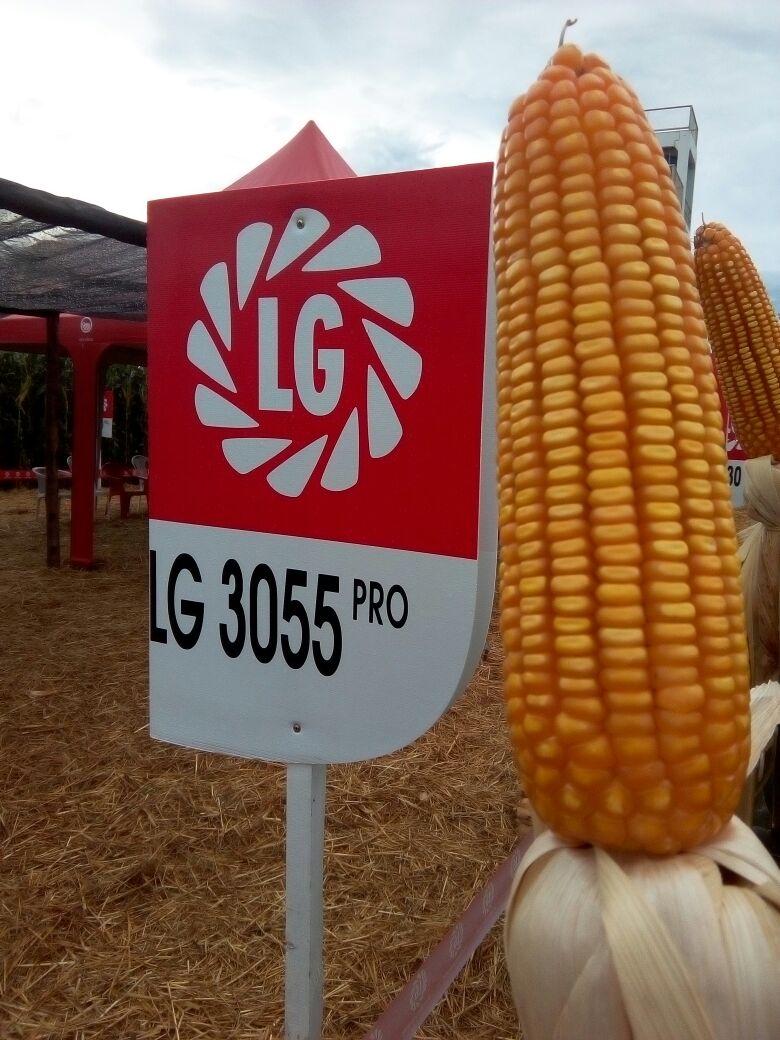 LG Sementes participou do Itaipu Rural Show 2017