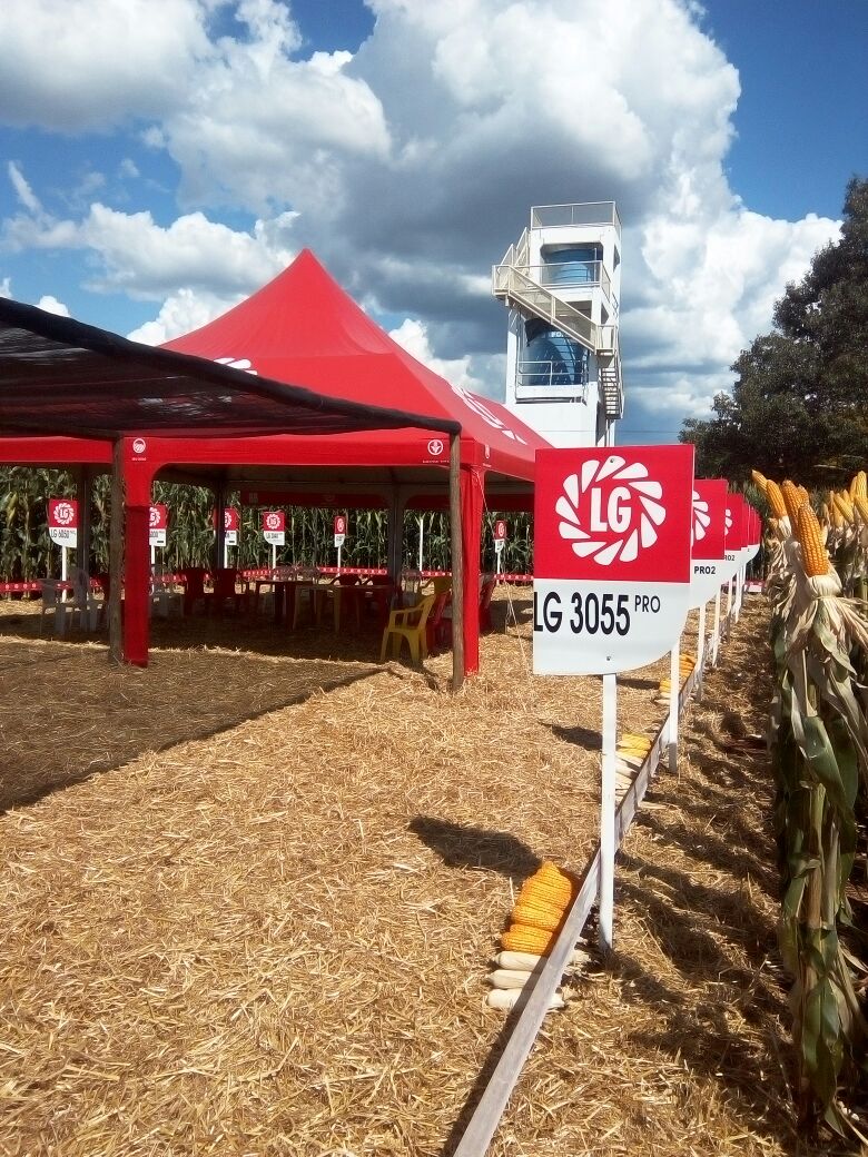 LG Sementes participou do Itaipu Rural Show 2017
