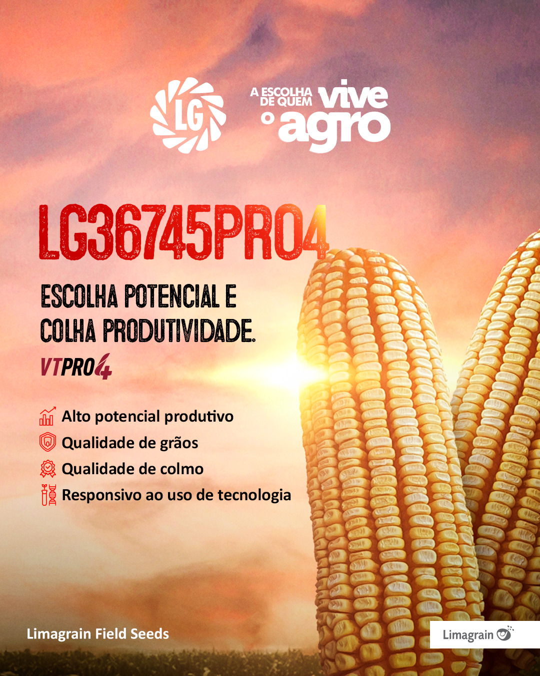 Post no Instagram: LG 36745PRO4