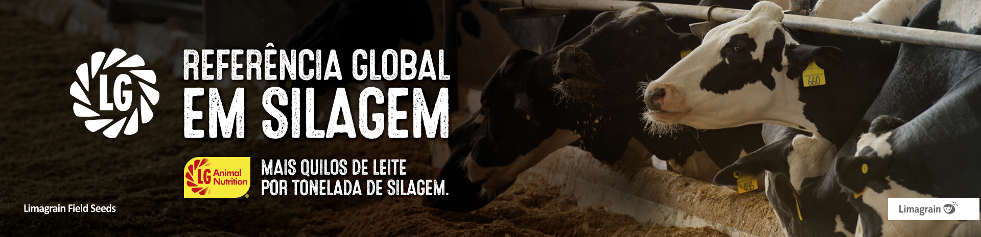 Referência global em silagem: LG Animal Nutrition, mais quilos de leite por tonelada de silagem
