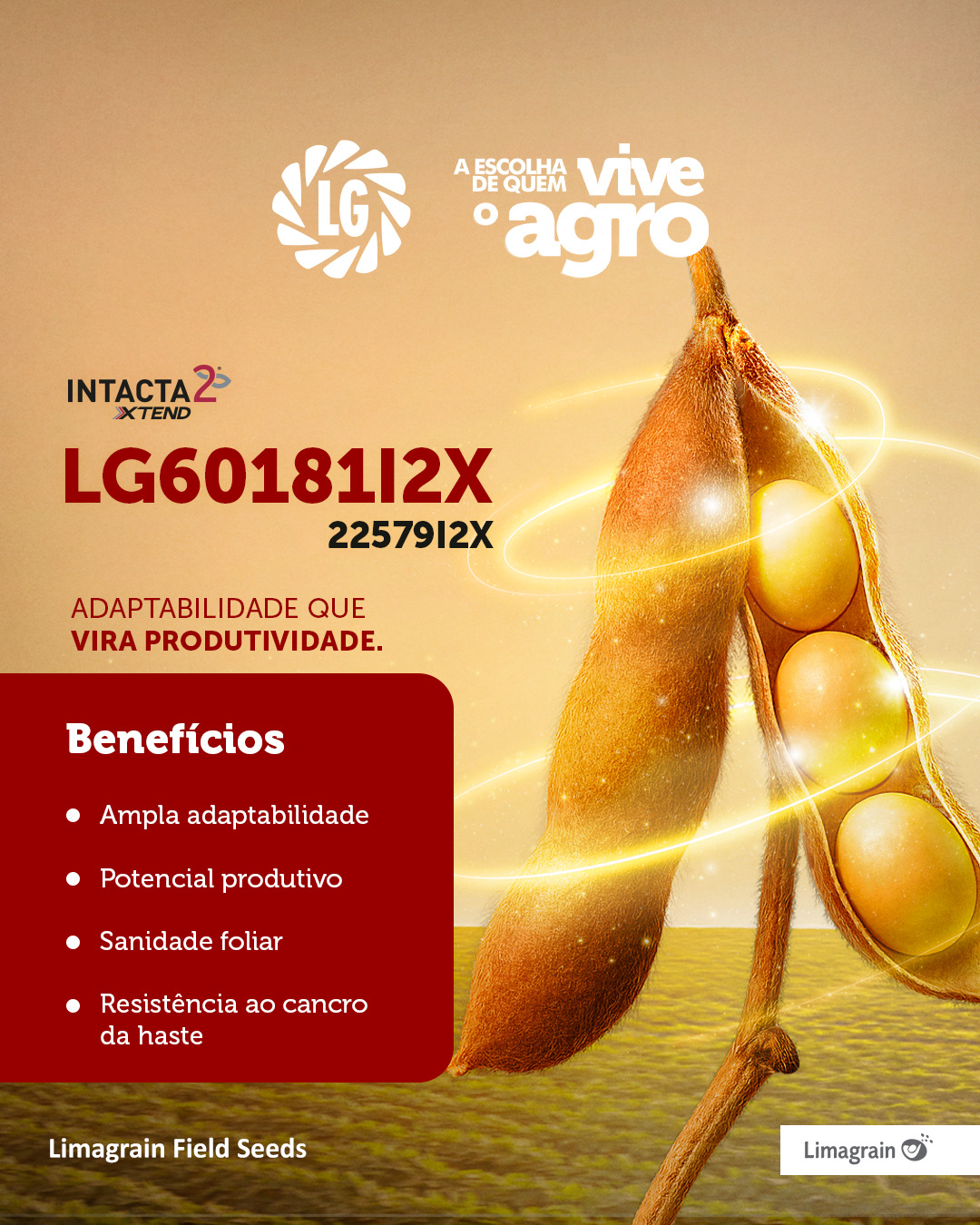 Post no Instagram: LG60181I2X, adaptabilidade que vira produtividade