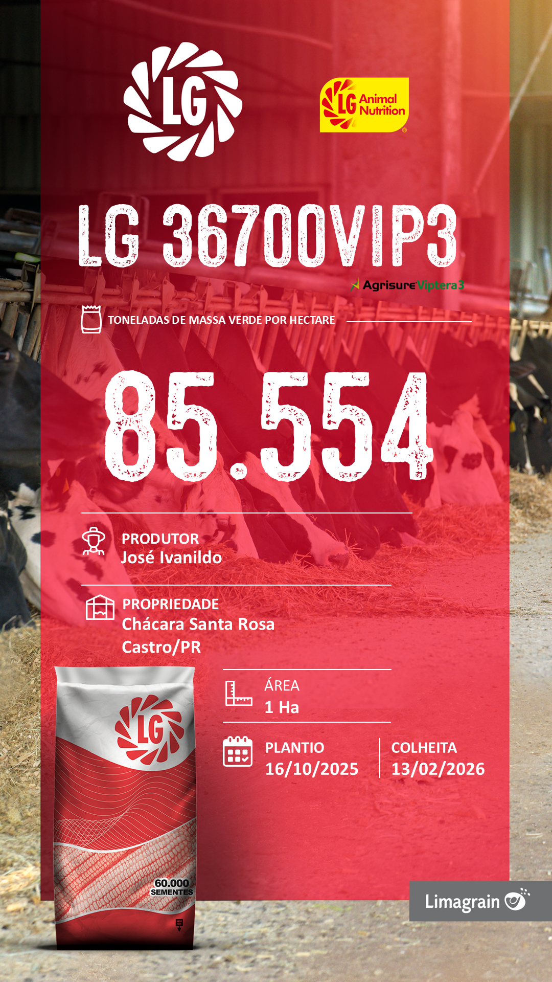 Resultado de produtividade: LG 36700, José Ivanildo