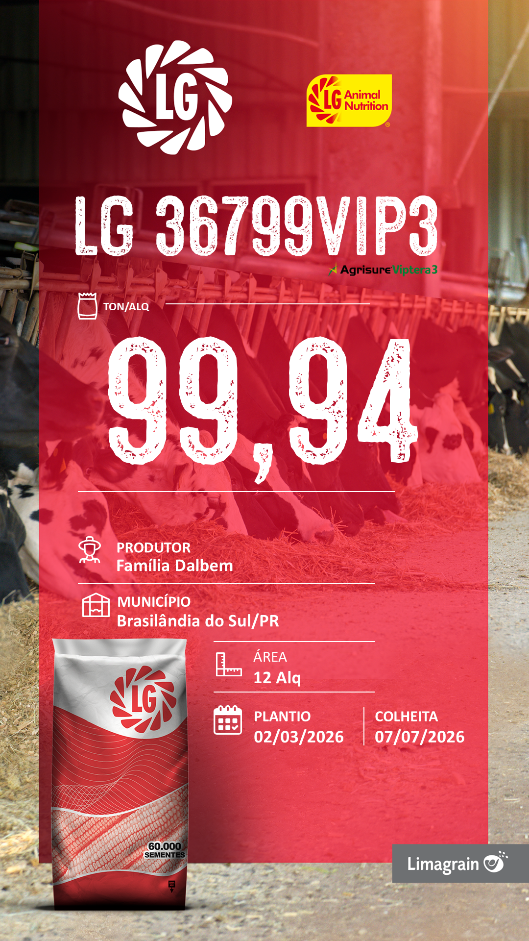 Resultado de produtividade: LG 36799, Dalben