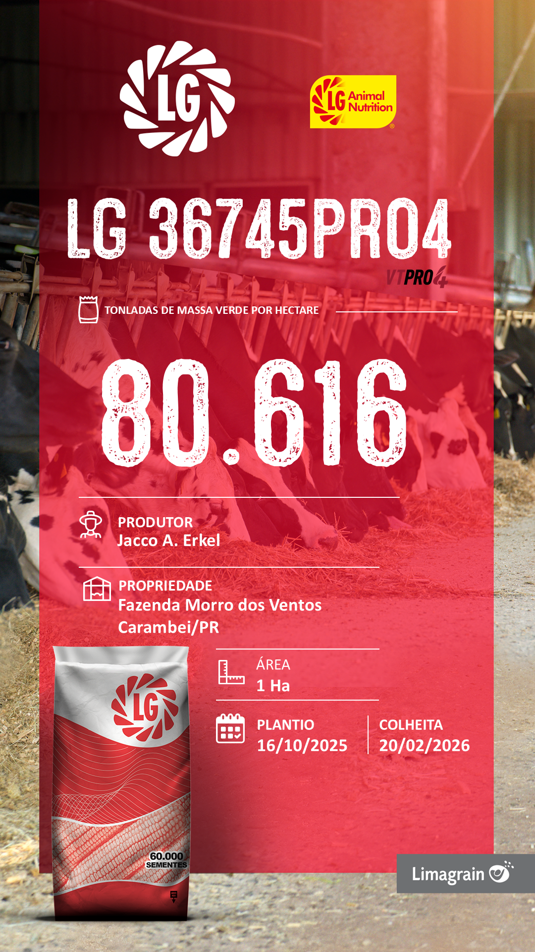 Resultado de produtividade: LG 36745, Jacco