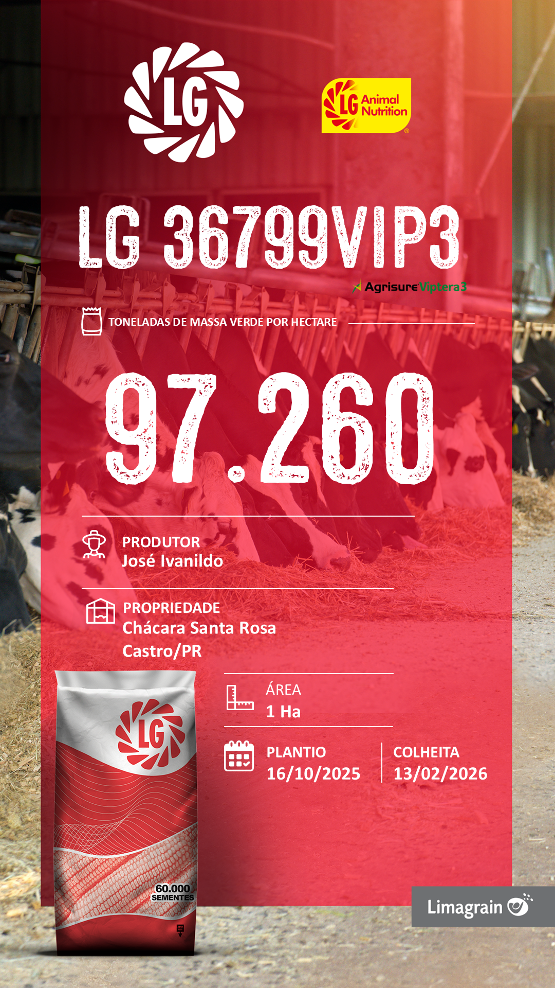 Resultado de produtividade: LG 36799, José Ivanildo